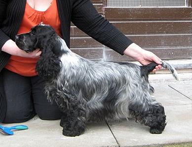 BENCLEUCH BEYOND THE MIST