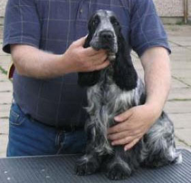 COASTLINE HAPPY HOUR