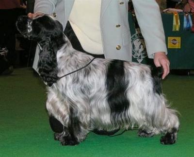 LINDRIDGE MOON CATCHER