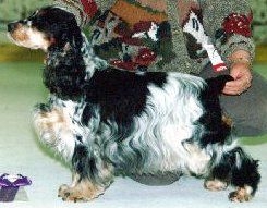 LYNWATER FOREST FLOWER