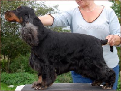 MANACA'S GENERAL IDEA